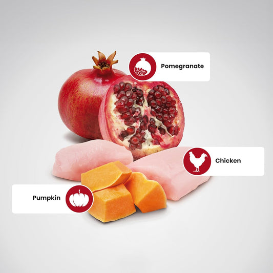 N&D Pumpkin, Chicken, Pomegranate- Puppy Starter 800gm