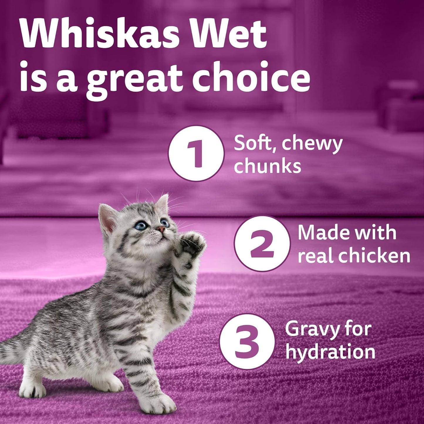 Whiskas Junior Kitten (2-12 Months) Wet Cat Food, Chicken in Gravy, 80 g (Pack of 14), Hydrating Food Made With Real Chicken, 100% Complete & Balanced Nutrition for Kittens