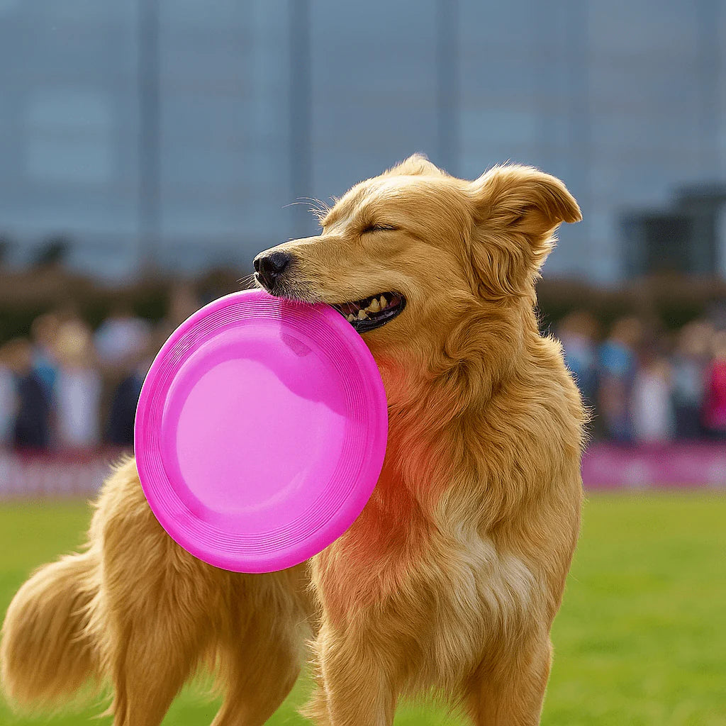 Durable Dog Frisbee – Soft, Safe & Fun for Active Play
