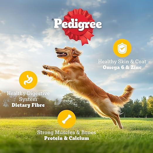 Pedigree Adult Dry Dog Food – Chicken & Veg Flavour