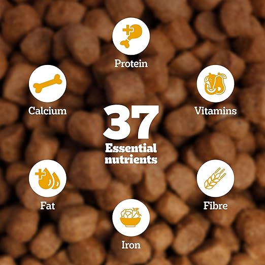 Pedigree Adult Dry Dog Food – Chicken & Veg Flavour