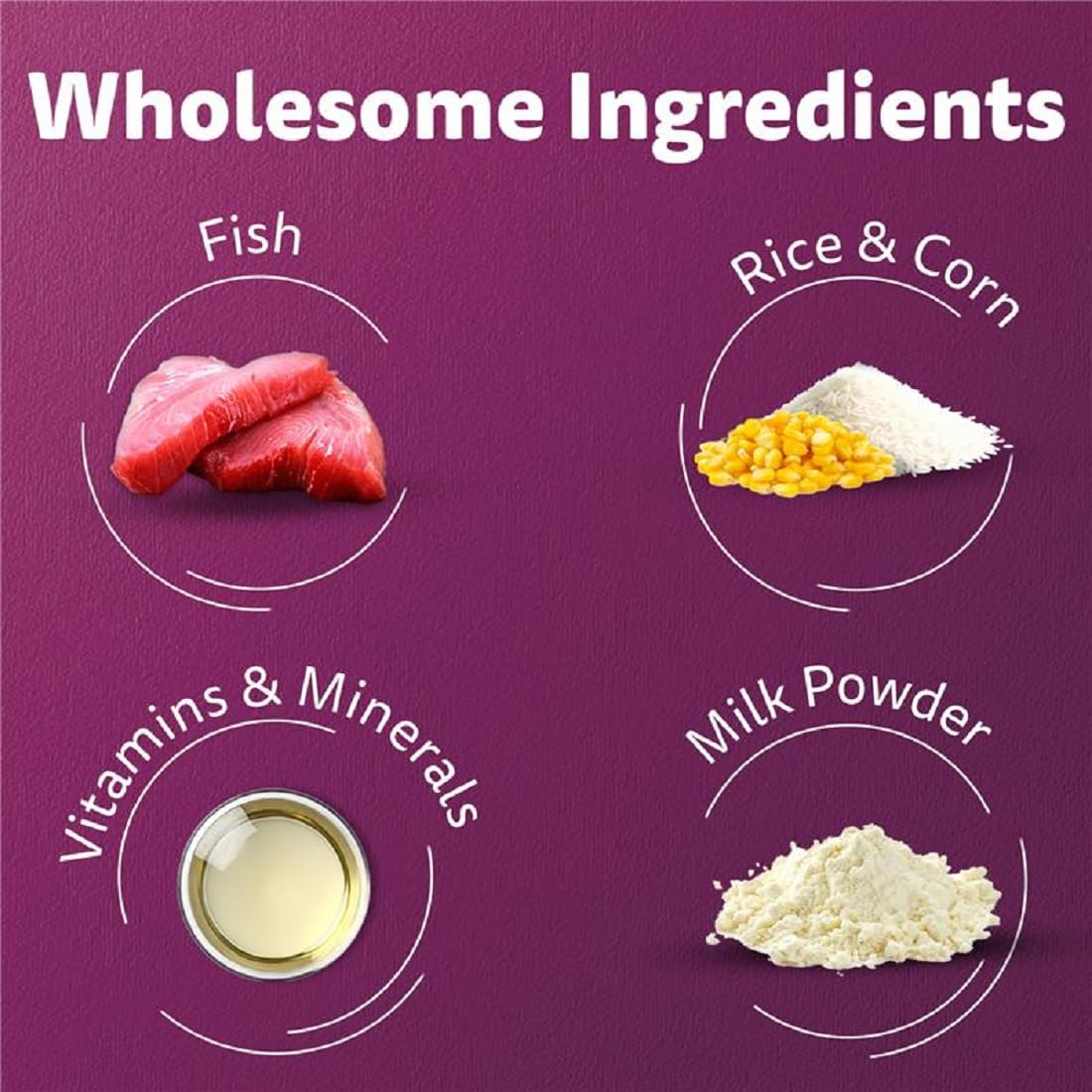 Whiskas Kitten Dry Cat Food (Flavor - Ocean Fish)