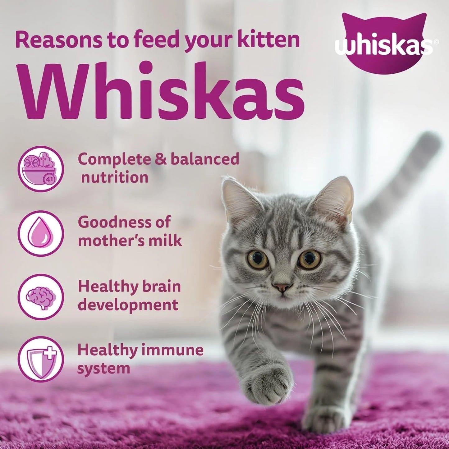 Whiskas Mackerel Kitten Dry Cat Food 1.1 Kg